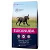 Eukanuba Puppy&Junior Razas Grandes 15kg + sorpresa GRATUITA 