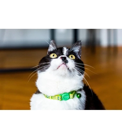 ZOLUX Collar nylon regul ETHNIC color verde
