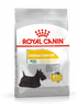 ROYAL CANIN Mini Dermacomfort 8kg + sorpresa gratis